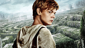 Maze Runner, , Background HD wallpaper