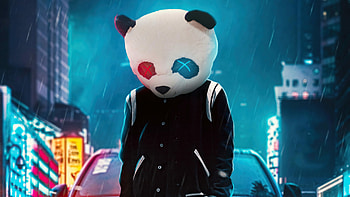 Panda cool on street, resolution, Urban scenery, Vibrant HD wallpaper