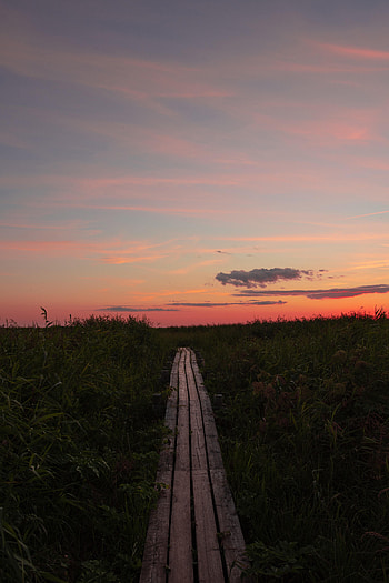 Nature, Sunset, Grass, Clouds, Horizon, Path HD phone wallpaper
