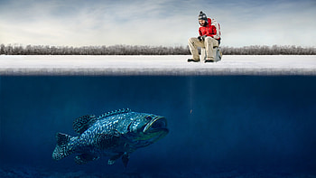 .wiki-Funny-Bass-Fishing--PIC-WPC009900 HD wallpaper
