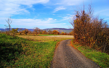Country Road, blue, colorful, beautiful, fields, clouds, trees, road, nature, sky HD wallpaper