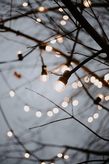 Shine, Light, Miscellanea, Miscellaneous, Branches, Garland, Decoration, Garlands, Light Bulbs HD phone wallpaper