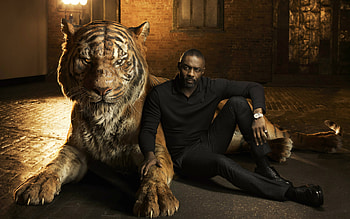Tiger In The Jungle Book, the-jungle-book, movies, animated-movies, 2016-movies, tiger HD wallpaper
