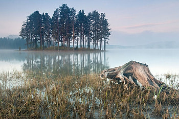 Misty River, mist, river, graphy, bulgaria, trees, forests, water HD wallpaper