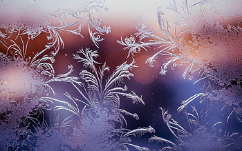 Ice Flowers, cold, winter, glass, window HD wallpaper