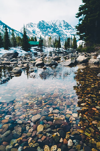 Pebbles of lake, forest, nature HD phone wallpaper