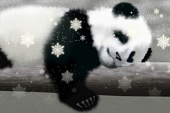 Animals For > Cute Baby Panda For Ipad HD wallpaper