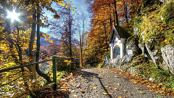 beautiful little chapel on a mountain path r, chapel, path, autumn, r, rocks, forest, sun rays, mountain HD wallpaper