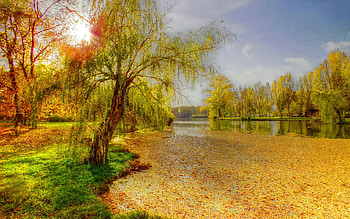 Golden season, rays, river, glow, falljng, serenity, quiet, season, trees, autumn, calm, golden, fall, beautiful, grass, carpet, leaves, branches, clouds, nature, sky, riverbank, lovely, foliage HD wallpaper