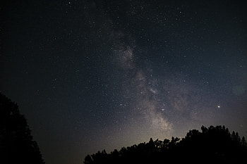 Nature, Trees, Universe, Night, Starry Sky HD wallpaper