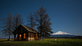 Evening, , Cabin, Sky, Starry Sky, Tree HD wallpaper