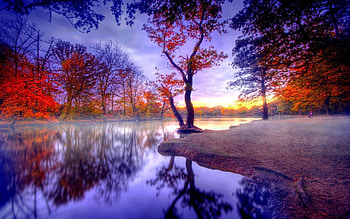 Nature, Trees, Autumn, Lake, Silence HD wallpaper