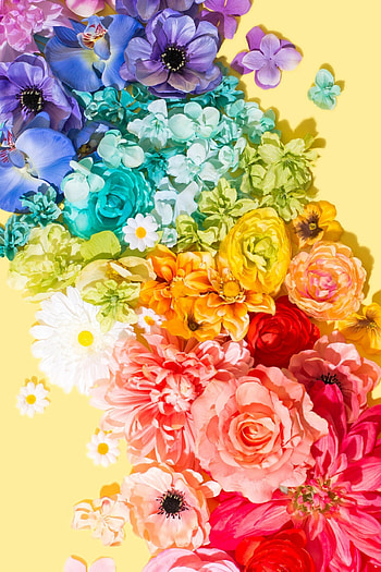 Colorful flowers, Nature's beauty, Vibrant bouquets, backgrounds HD phone wallpaper