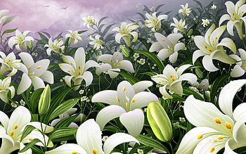 Flowers, Background HD wallpaper