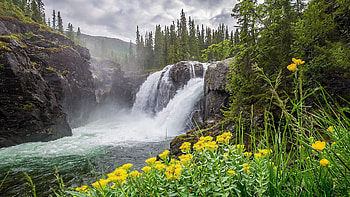 Waterfall in Spring, river, blossoms, trees, waterfall, mountains, rocks, forest, stones HD wallpaper