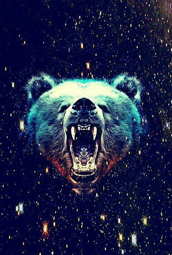 Bear , High-quality , Stunning backgrounds, Visual delight HD phone wallpaper