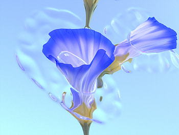 Blue flowers, abstractions HD wallpaper