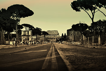 Cities, People, Trees, Italy, Colosseum, City, Road, Street, Rome HD wallpaper