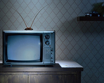 Cockroach Antenna, antenna, tv, abstract, aequus, other, mihi, cockroach, television HD wallpaper