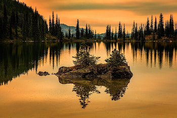 Sunset Serenity, trees, sky, reflection, lake HD wallpaper