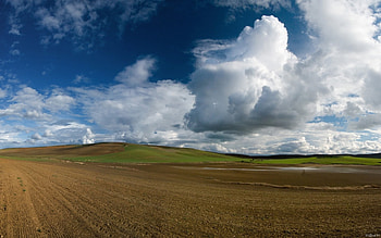 Landscape, Fields, Sky HD wallpaper