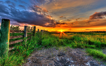 Beautiful Sunset, rays, sunlight, peaceful, beauty, fence, amazing, sun, sunset, landscape, beautiful, grass, sunrays, field, green, view, clouds, nature, sky, lovely, splendor HD wallpaper