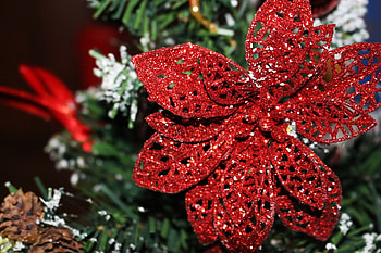 Holidays, Christmas Decorations, Decoration, Poinsettia, Ornament HD wallpaper
