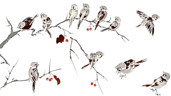 Inked Birds and Berris, birds, firefox persona, aart, black and white, fall, berries, autumn, artistic HD wallpaper