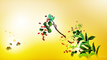 Flowers and Fish, glow, firefox persona, oriental, lily, yellow, sakura, tiger fish, fish, lilies, cherry blossoms HD wallpaper