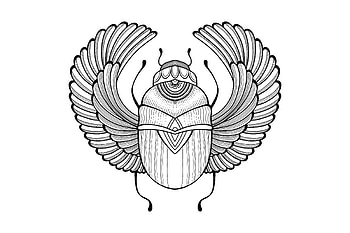 Egyptian scarab tattoo, Hand-drawn design HD wallpaper