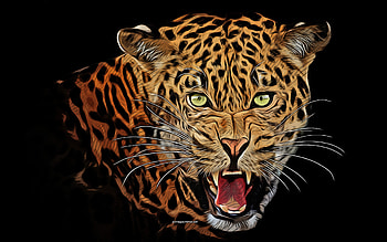 leopard, , vector art, leopard drawing, creative art, leopard art, vector drawing, abstract animals, wild cats, fury, wild animals, furious leopard HD wallpaper