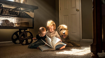 Little girl, dog, childhood, blonde, 2 girls, fair, sit, nice, door, adorable, bonny, sweet, Belle, white, Hair, girl, comely, sightly, pretty, face, lovely, pure, child, graphy, cute, baby, , Nexus, beauty, kid, feet, read, room, beautiful, people, little, pink, book, love, princess, dainty HD wallpaper