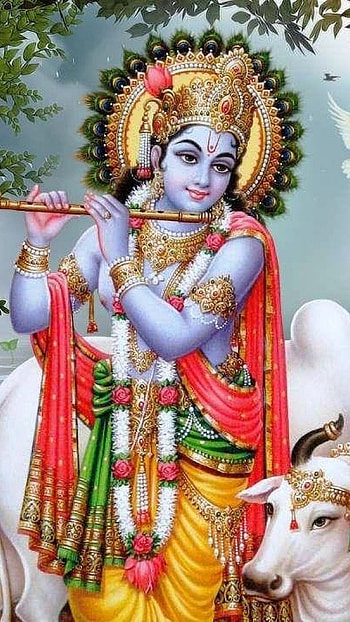Krishna , Bhagwan Krishna, jay shree krishna HD phone wallpaper