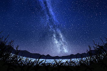 Nature, Grass, Sky, Art, Stars, Night, Starry Sky, Milky Way HD wallpaper