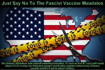 America, Just Say No, flu, health, home remedies, pandemic, chills, scissors, illness, coughs, fever, quarantine, coronavirus, healing, inspiring, sweats, sick, well-being, virus, retired, miracle, flag, supernatural, COVID-19, usa, colds, religious, positive, seniors, bronchitus, uplifting, sinusitus, just say no, sniffles, natural, fitness HD wallpaper