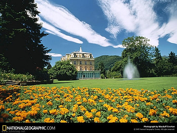 Beautiful Garden , garden, beautiful HD wallpaper