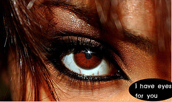 i have my eyes on you, words, brown, eye HD wallpaper