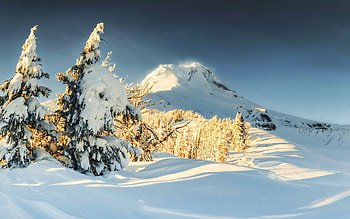 Mount Hood Meadows, Oregon, winter, snow, landscape, volcano, trees, usa, mountain HD wallpaper
