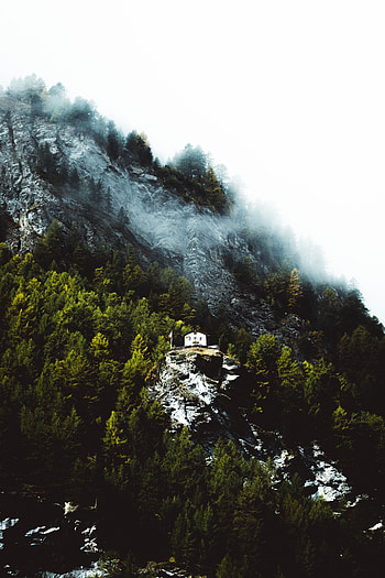 Nature, Trees, Rock, Mountain, House, Slope HD phone wallpaper