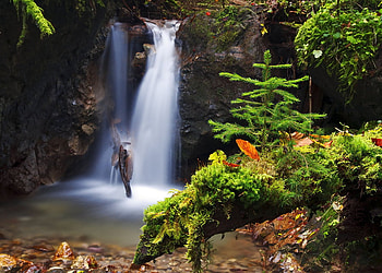 magic water, falls, forets, fantasy, green, trees, nature, water, nice HD wallpaper