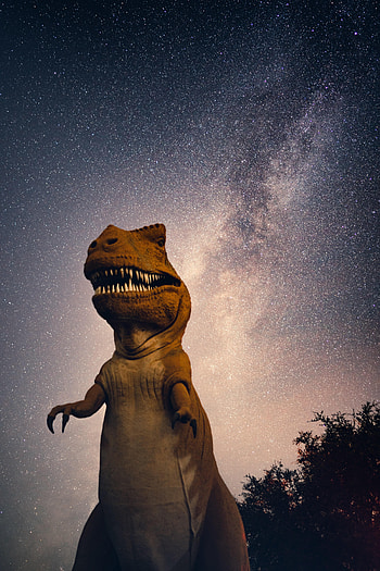 Universe, Night, Miscellanea, Miscellaneous, Starry Sky, Dinosaur HD phone wallpaper