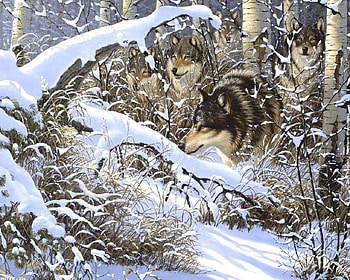 WINTER SEARCH, WINTER, SEARCH, DOG, SNOW HD wallpaper