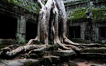 Angkor Wat, , Access HD wallpaper