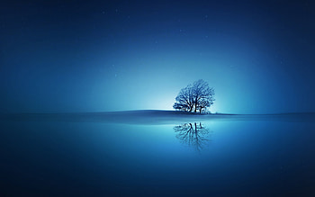 Blue Background Laptop | | Pinterest | Blue backgrounds, backgrounds and HD wallpaper