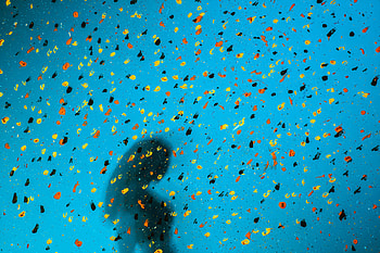 Abstract, Drops, Spray, Paint HD wallpaper
