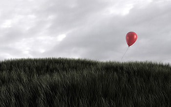 Grass, Sky, Miscellanea, Miscellaneous, Balloon, Wind HD wallpaper
