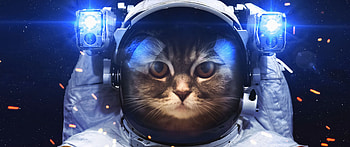 Ultrawide I've collected 003, 3440X1440 Ultra Wide HD wallpaper