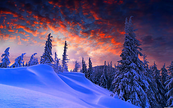 Terrific night of winter, winter, purple, sky, snow HD wallpaper
