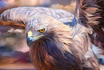 eagle, art, painted, bird of prey HD wallpaper
