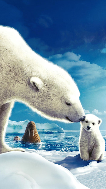 Arctic Tale (2022) movie HD phone wallpaper